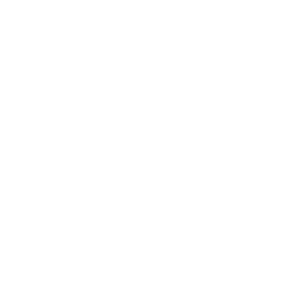 Illini Electric Motorsports