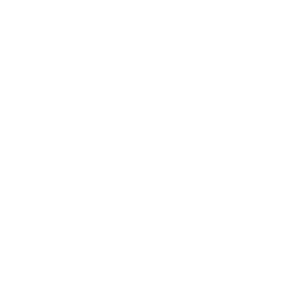 Tesla Optimus